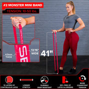 41" Micro Mini Resistance Band (2-15 lbs)